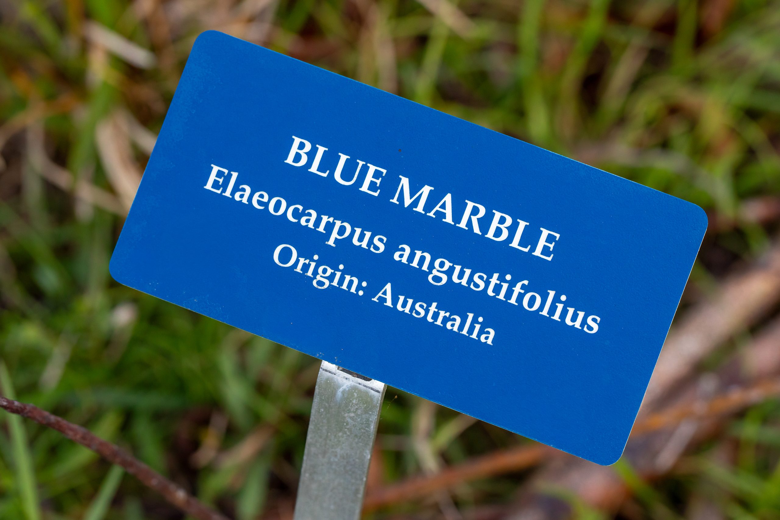 wildlife-habitat-eco-village-hawaii-blue-marble